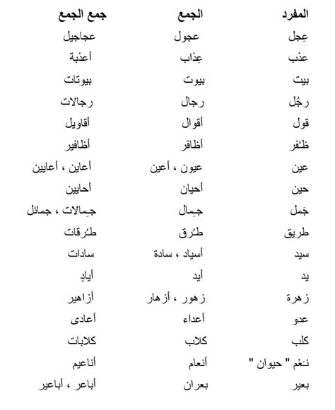 الجمع في اللغة العربية